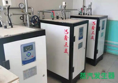 燃氣蒸汽發生器價格